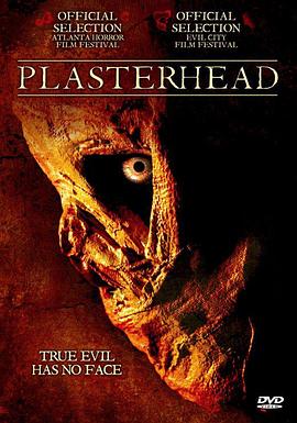 ʯ������ Plasterhead�������