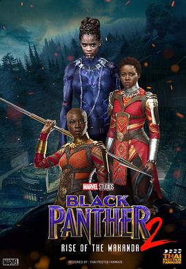 �ڱ�2 Black Panther 2�������