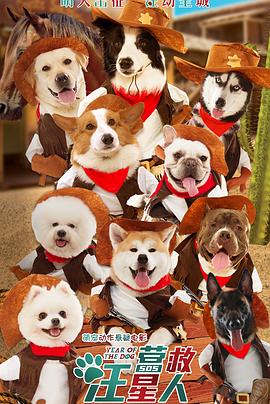 Ӫ�������˾������