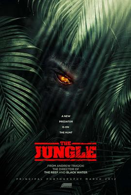 �������� The Jungle�������