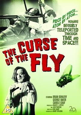 ��Ӭ�˵����� Curse of the Fly�������