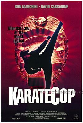 �ټ�٪�޼� Karate Cop�������
