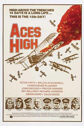 ���Ʒ���Ա Aces High�������