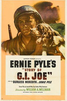 ��������ǵĹ��� Story of G.I. Joe�������