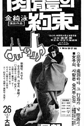 �����Լ��  �������