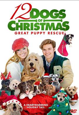 ʥ���ڵ�ʮ��ֻ���� 12 Dogs of Christmas: Great Puppy Rescue