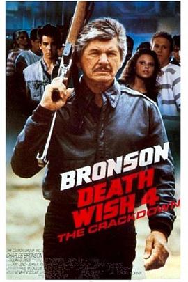 猛龙怪客4:镇压 Death Wish 4: The Crackdown剧情介绍