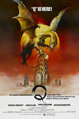 ���� Q�������