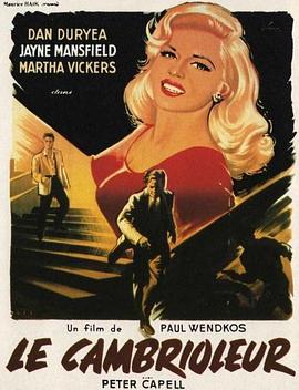 ���� The Burglar�������