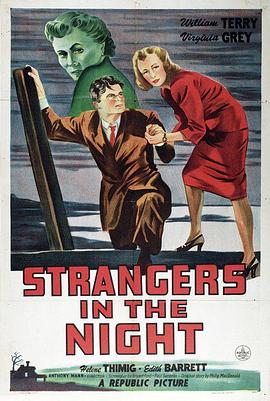 ҹ������ Strangers in the Night�������