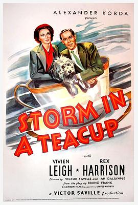 �豭��ķ籩 Storm in a Teacup�������