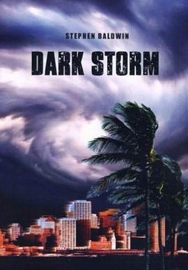 ��ɫ�籩 Dark Storm�������