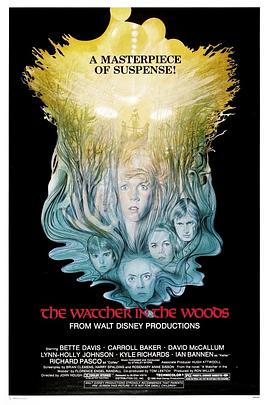 ʱ�⵹����ʮ�� The Watcher in the Woods�������