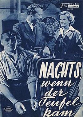 ��ħ���ٵ�ҹ�� Nachts wenn der Teufel kam The Devil Strikes