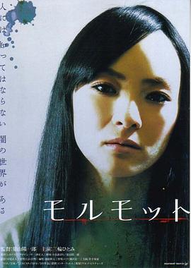 ������ ����åȾ������