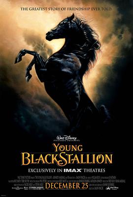 С���� The Young Black Stallion�������