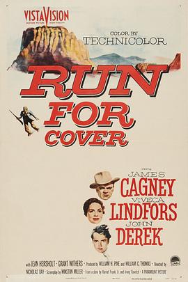 Ѱ��ӻ� Run for Cover�������