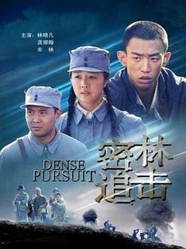 ����׷���������