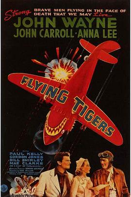 �ɻ��� Flying Tigers�������