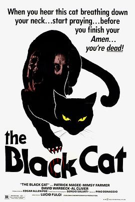 ������� The Black Cat�������