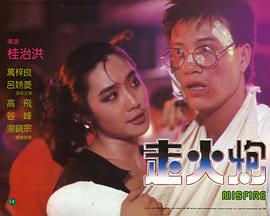 �߻��ھ������