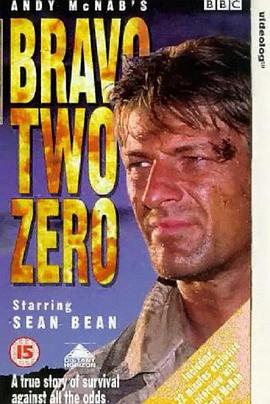 ս��ʵ¼ Bravo Two Zero�������