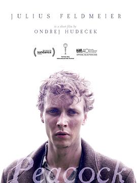 ��ȸ Furiant�������