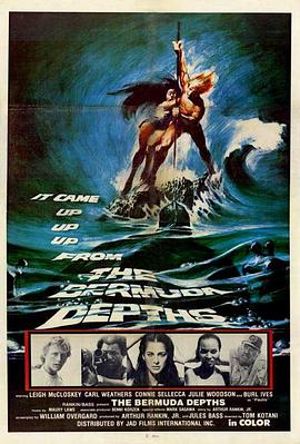 �����󺣹� The Bermuda Depths�������