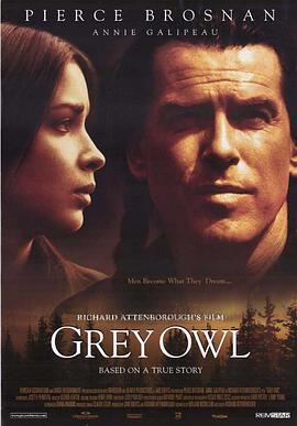��ɫҹ�� Grey Owl�������
