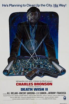 �����ֿ�2 Death Wish II�������