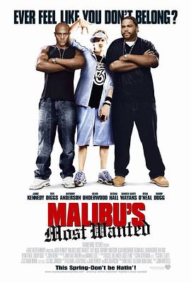 ���ﲼ��Ʊ�� Malibu's Most Wanted�������