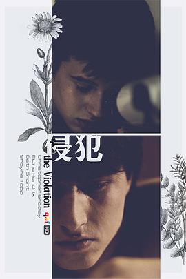 �ַ� The Violation�������