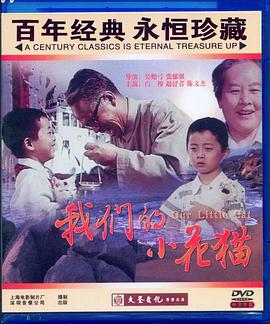 ���ǵ�С��è�������