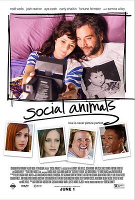 �罻���� Social Animals�������