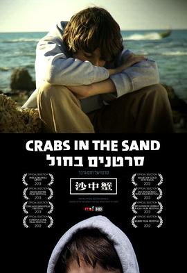 ɳ��з Crabs in the Sand�������