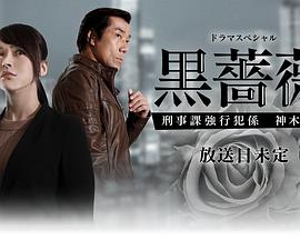 ��Ǿޱ�����¿�ǿ�з�ϵ��ľ���� �\�Nޱ �����n���з��S ��ľ��