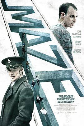 �Թ� Maze�������