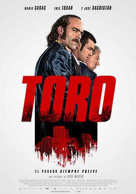 ��·���� Toro�������