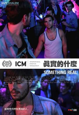 ��ʵ��ʲô Something Real�������