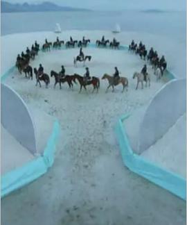 ��˿2 Cremaster 2�������