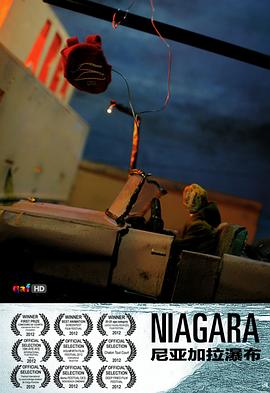 ���Ǽ����ٲ� Niagara�������