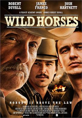 Ұ�� Wild Horses�������