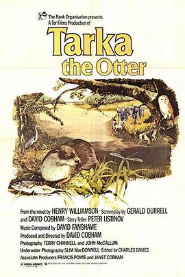 ˮ̡���� Tarka the Otter�������