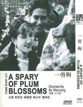 һ��÷�������