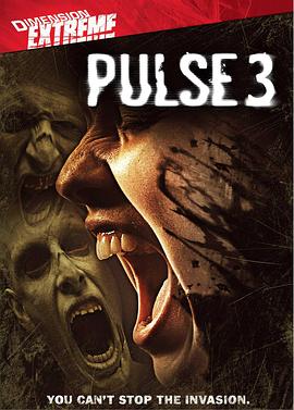 �ǹ���·3 Pulse 3�������