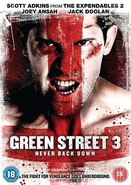 ������å3 Green Street 3: Never Back Down�������