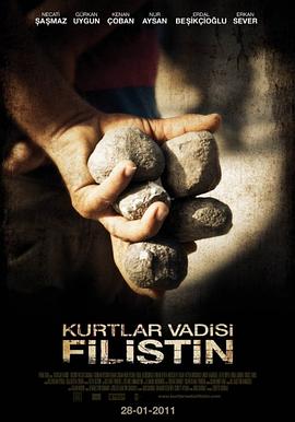 ����˹̹���ǹ� Kurtlar Vadisi Filistin�������