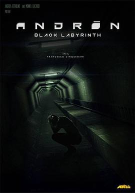 �����ң���ɫ���Թ� Andr��n: The Black Labyrinth�������