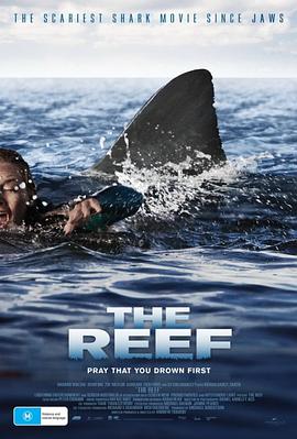 �󱤽����� The Reef�������