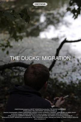 Ѽ��Ǩ�� The Ducks' Migration�������